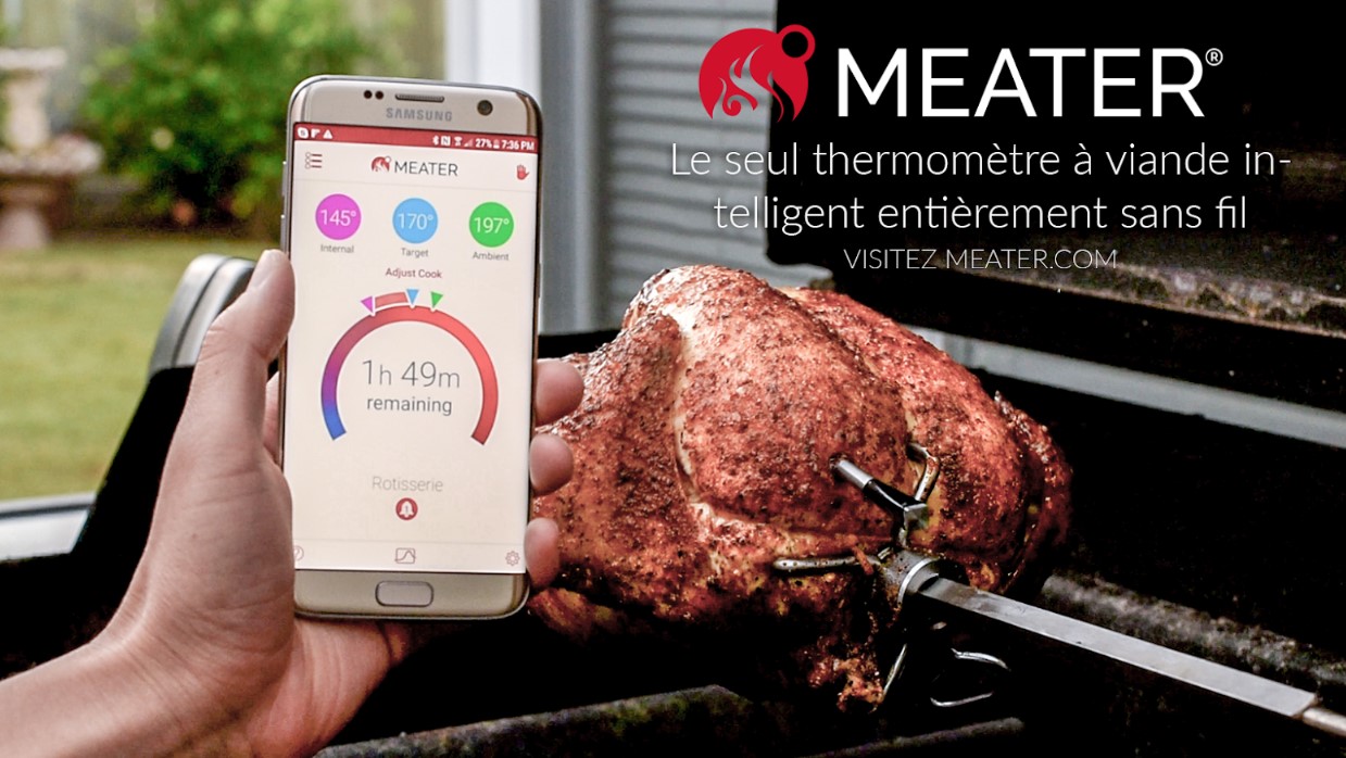 Labymos 2PCS Thermomètre à Viande sans Fil Alimentaire Barbecue